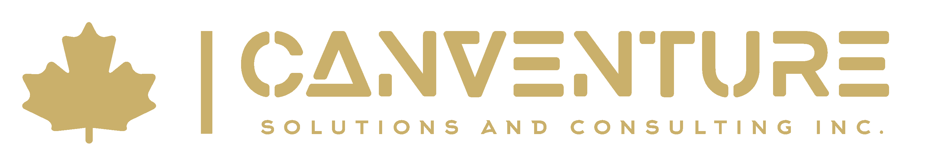 canventure solutions